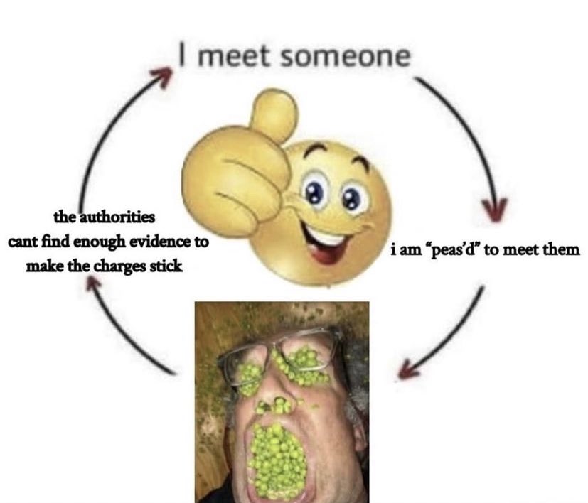 Future Sapien tweet media