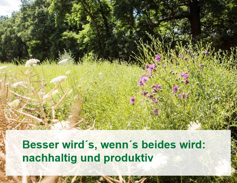 Mit der richtigen Balance zum Erfolg – Ökonomie &amp; Ökologie im Gleichgewicht = „Bessere Erträge“. Effiziente Produktion von Lebensmitteln auf immer weniger Ackerfläche bei geringeren CO2-Emissionen &amp; mehr BioDiv. 
#BASF #PK2022 #BessereErträge #Biodiversität #Klima #Landwirtschaft