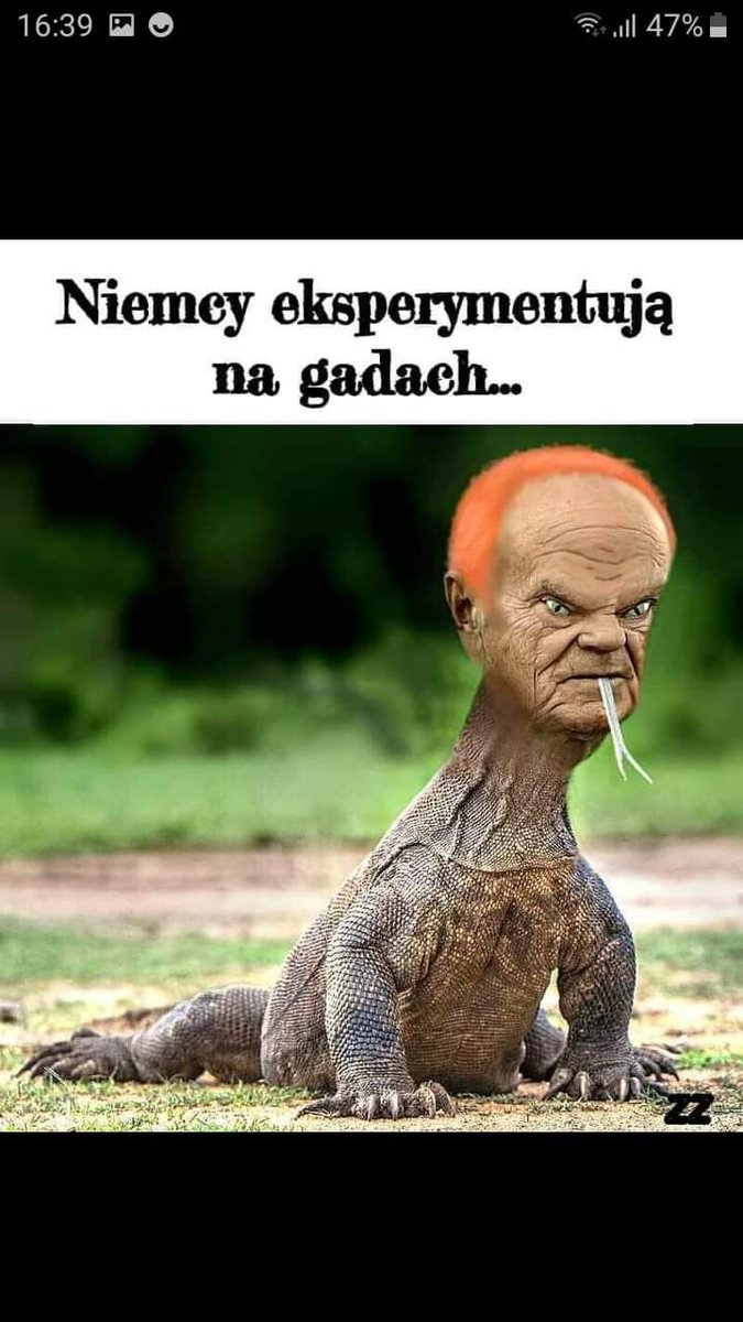 m_zdzis's tweet photo. @TeoJade2 @ryby1603 Wpuścił gada do Polski. https://t.co/6Y1H8Chk9z