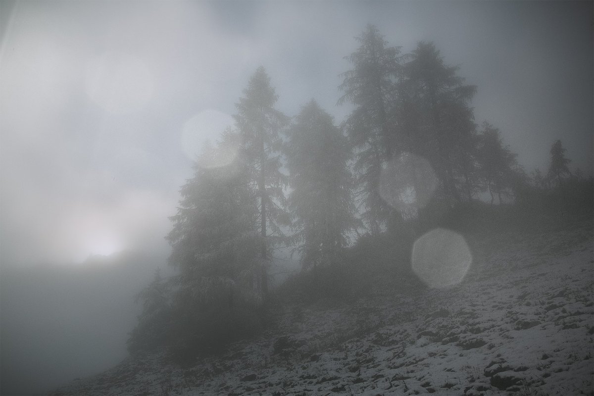 FROZEN THROATS
All words are lost in our frozen throats
But I feel your vigorous fear 
Of decaying in this frozen cage of life
I want to leave this dormant witchcraft, too
But these glaciers of time will not melt away
And I feel we can't break through
Without breaking us apart