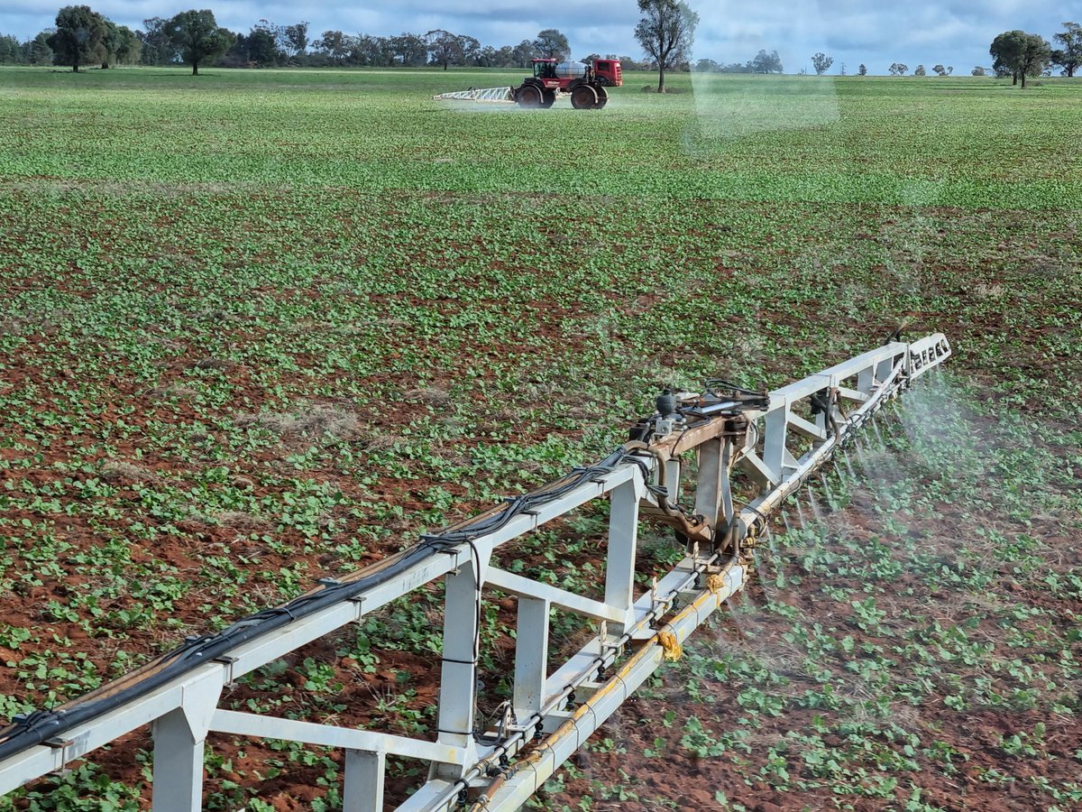 LtdFarming's tweet photo. Canola spraying https://t.co/IeIwLMQ3Hf