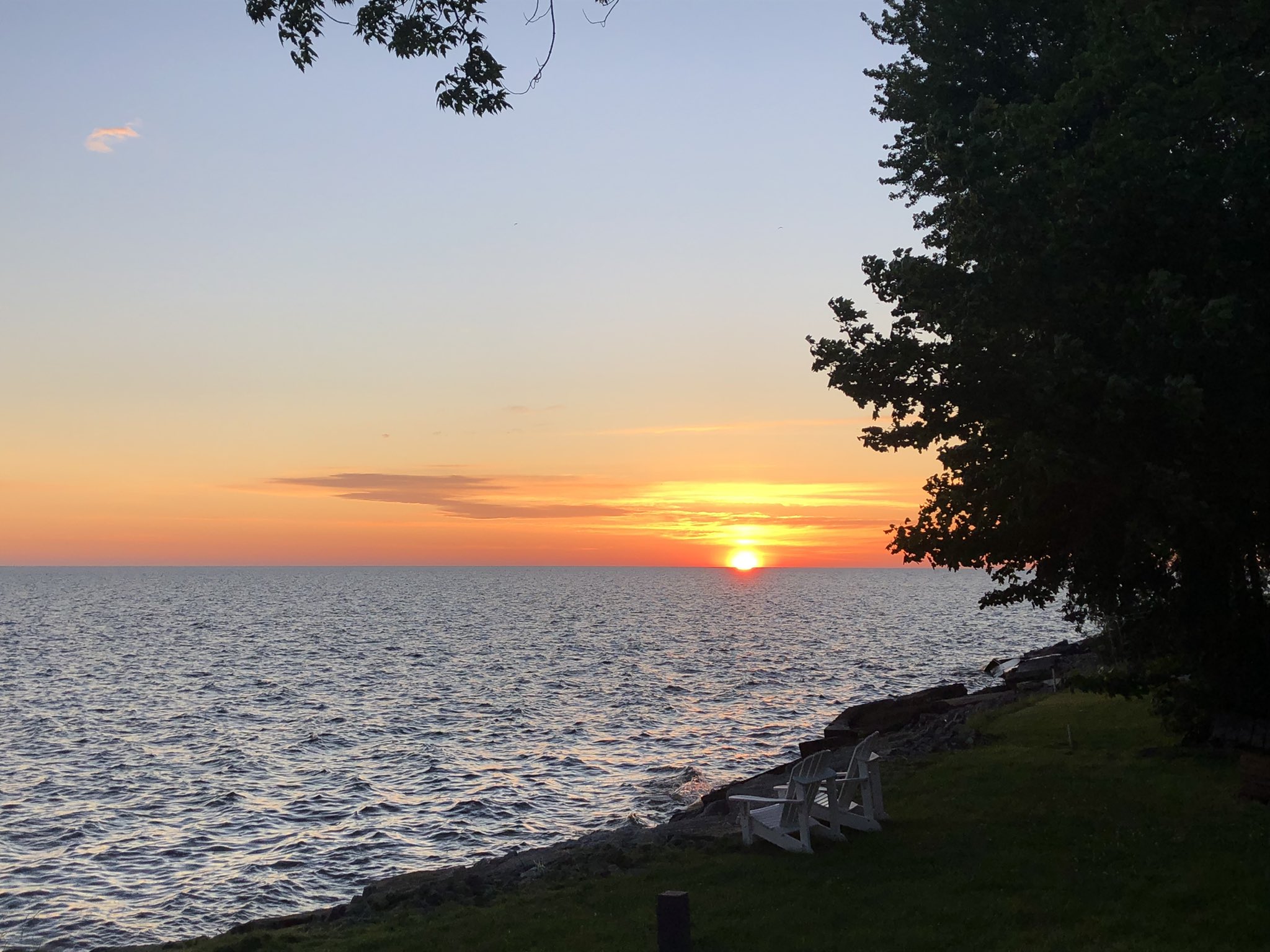 Patrick Hammer (pathammer) / Twitter