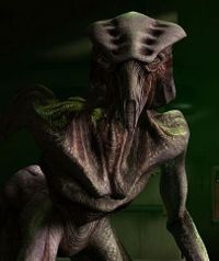 Timeless_Child_'s tweet photo. @GrumpyOdoDS9 @PoisonsMaster "No, they are Raxacoricofallapatorians and it's not like there is species that is true form liquid and can't mimic solids properly," the Doctor was hinting at of Odo's appearance. 

"And what Species 8472, Xindi-Aquatics, Geth, Asgard?" https://t.co/LEcwGlphP8