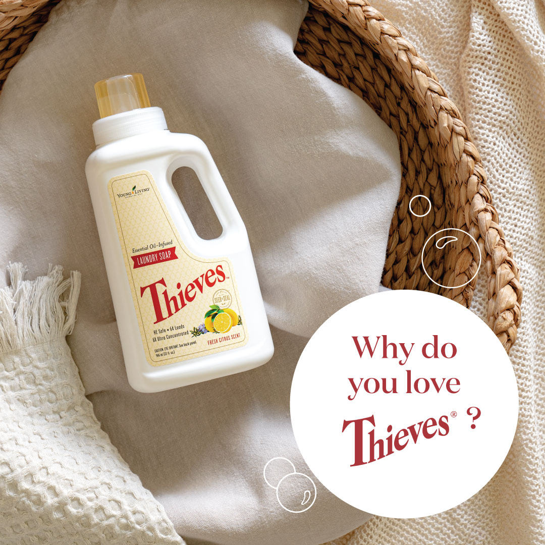 YoungLivingAF's tweet photo. We asked a few YL customers 'Why they love #ThievesLaundrySoap ❤️' – below⬇️ is what they had to day!
P.S. This month, when you purchase Thieves Laundry Soap, you get a FREE #ThievesDishSoap 📲 https://t.co/ikClv1X9i6
T&Cs Apply!💡✨ #CleanLivingWithYL #YoungLivingAfrica https://t.co/ljcr0Pl3SF