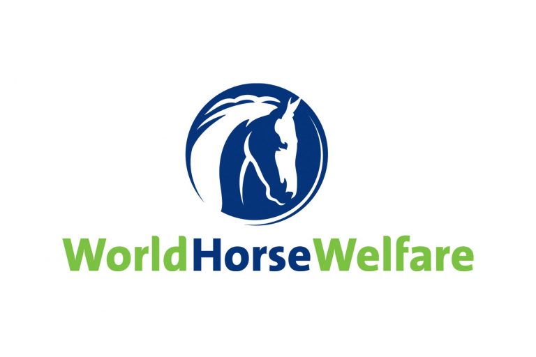WestwoodForster's tweet image. Today Westwood Forster are visiting @HorseCharity at their Hall Farm site in Norfolk.

World Horse Welfare use @GiftedMatrix in a variety of ways, and we are always keen to hear how our software helps them to reach their goals.

Visit their page to learn more about what they do.