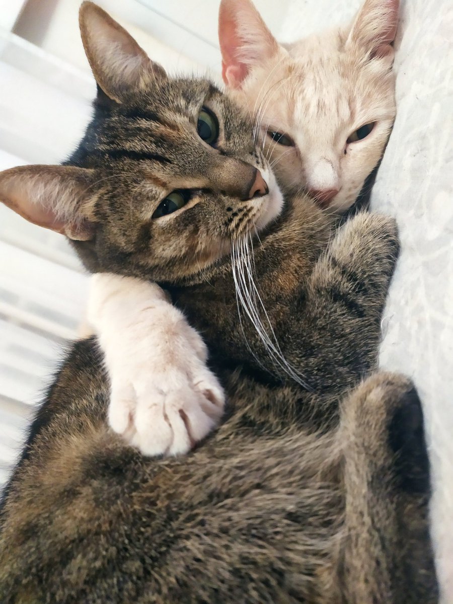 IO // (@00111010001010o) on Twitter photo 