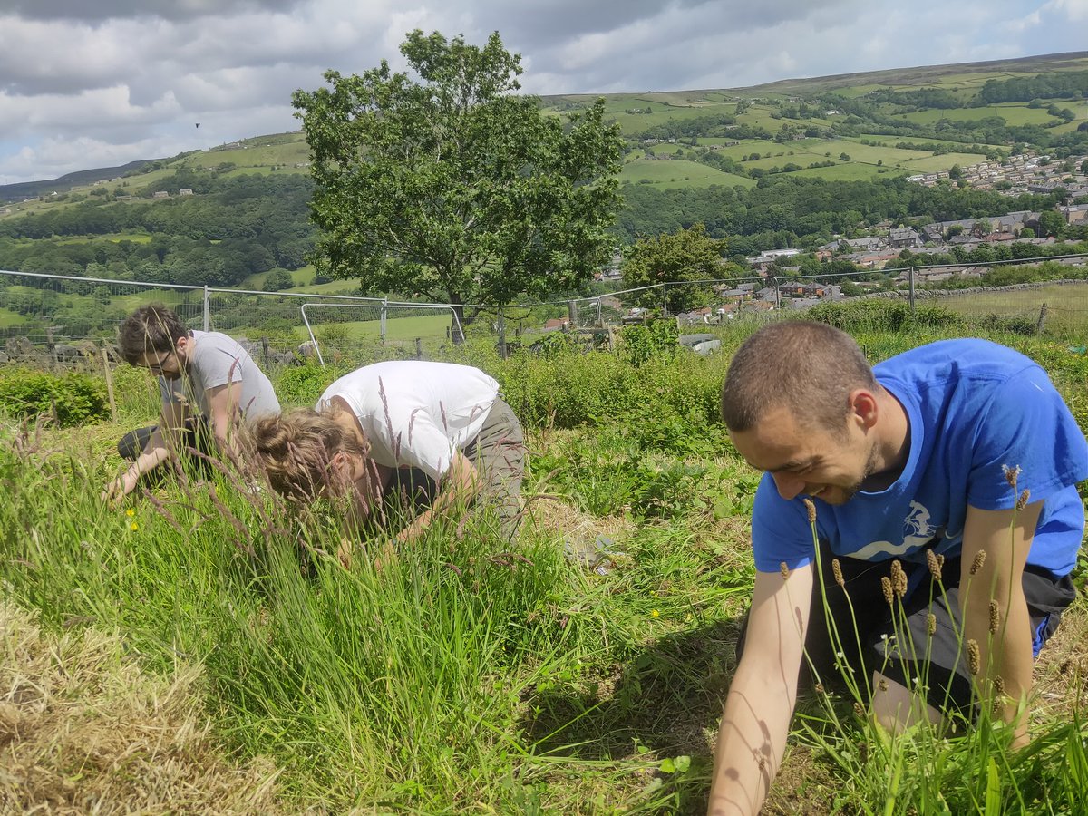 forus_tree's tweet photo. Lovely weather for spending the day outdoors. Big thanks to Ian, Christina, Rob and Katie for their help. Very small Silver Birch trees which had disappeared amongst the overgrown weeds. Always plenty to get on with as usual and we appreciate all the help we can get 🙌 #ThankYou https://t.co/jrlQx1sJ2P