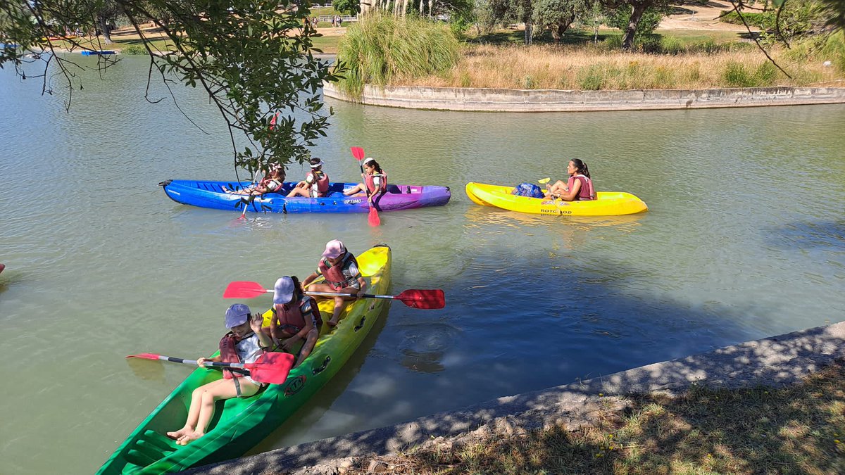 ColegioQuercus's tweet photo. Una mañana repleta de aventuras en el @ClubEncinas
¡Qué bien se lo pasaron nuestros chicos y chicas de 1º y 2º de Primaria!
#ColegioQuercus #EducaciónPrimaria #Multiaventuras #Campo #Deporte #BoadillaDelMonte https://t.co/aVaPpPmXrS