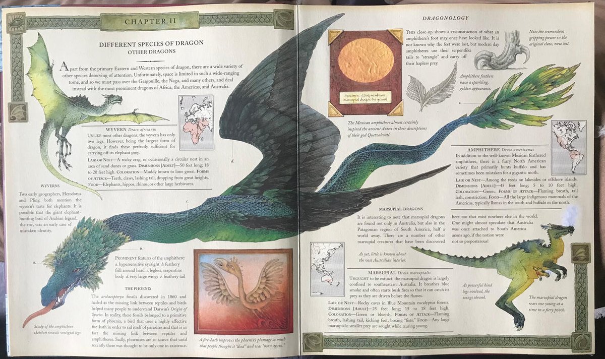 Ten-year-old you, opening this book, reading the letters in the little envelopes, touching the dragon skin in the little windows, looking at the glass eye of the dragon at the end of the book. And you think: 'Damn, dragons are so cool. I wish they were real'