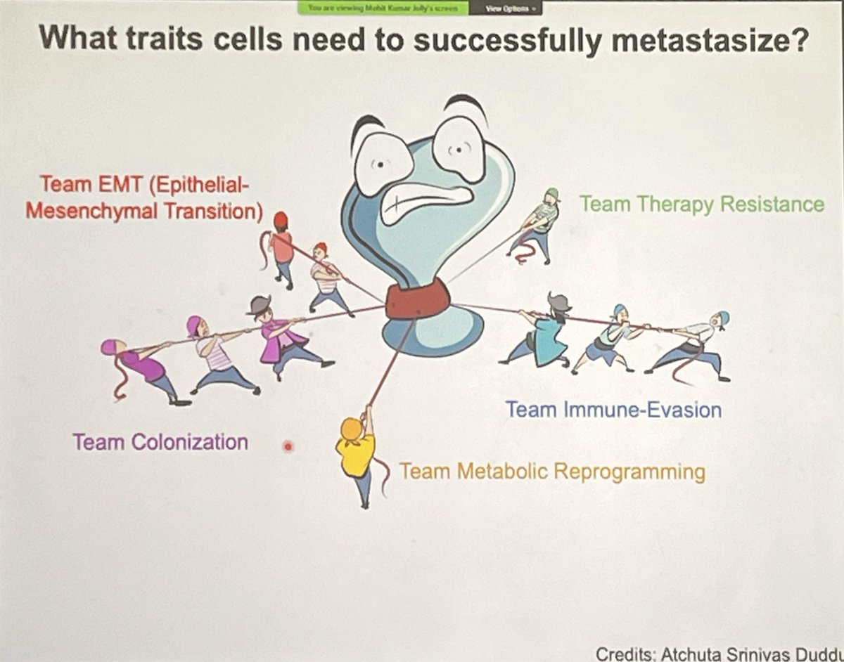 ara_anderson's tweet photo. First talk of the day if from friend and @SMBMathOnco subgroup chair @mkjolly15 presenting, Design principles of cell-state switching networks in cancers #SWAMBA22 https://t.co/T2tG2tlprw