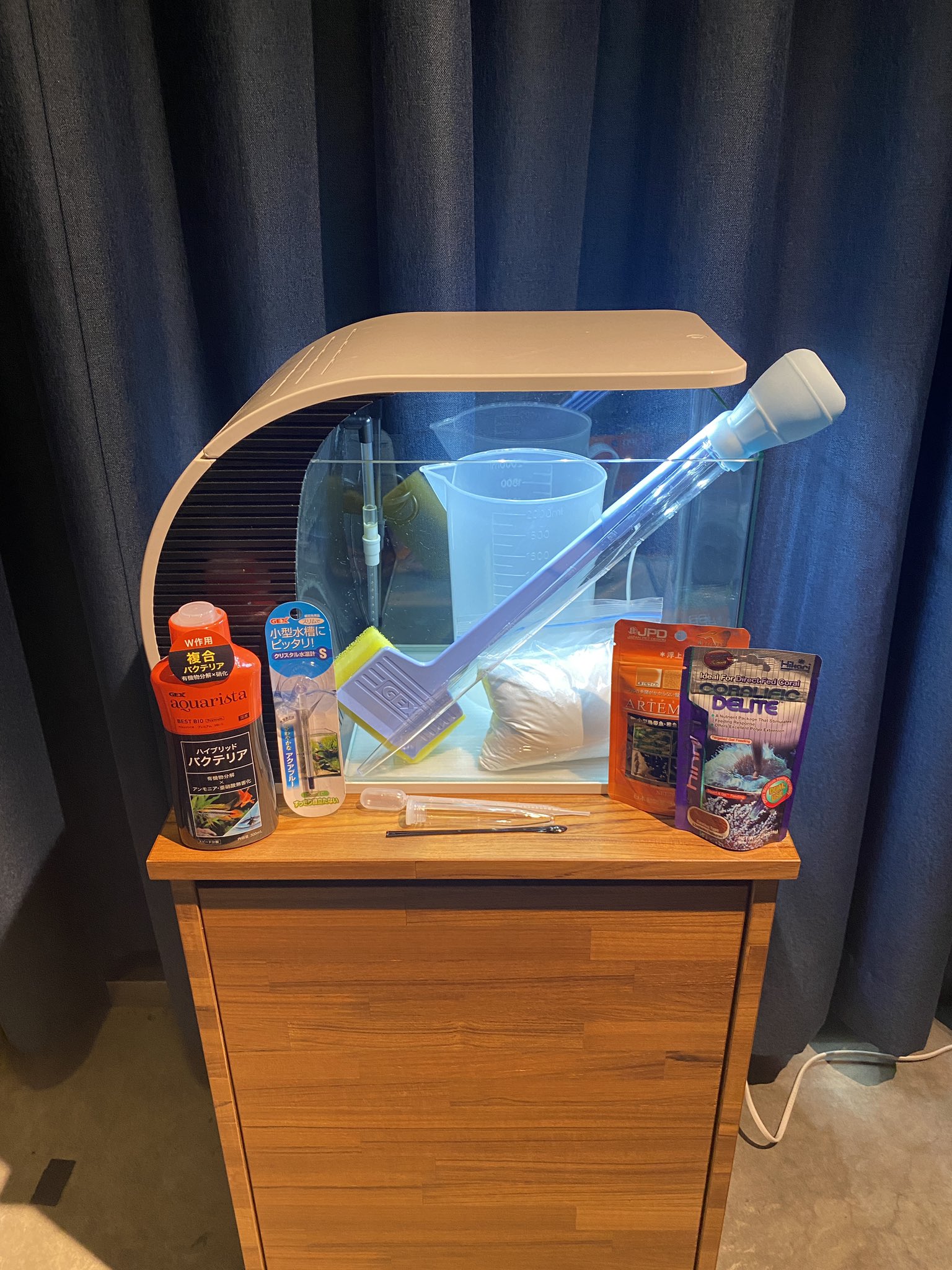 近藤熱帯魚店 على X: 