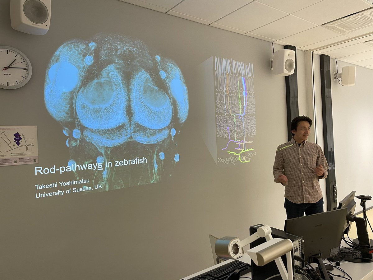 Last week we had the honour to have <a href="/TaYoshimatsu/">Takeshi Yoshimatsu</a> visiting our lab. In addition to inspiring talks and help in the lab, he gave a wonderful presentation about rod-pathways in the zebrafish retina. Amazing work indeed! w/<a href="/nymarklab/">nymarklab</a> <a href="/IhisTeemu/">Teemu Ihalainen (@ihisteemu.bsky.social)</a>