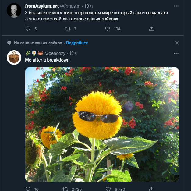 Homyashas ☕ tweet media