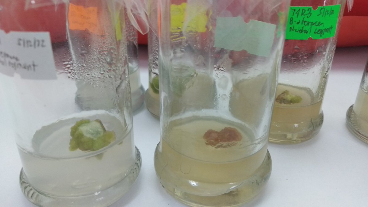 😱😱😱

Wtffffffff. Iz red