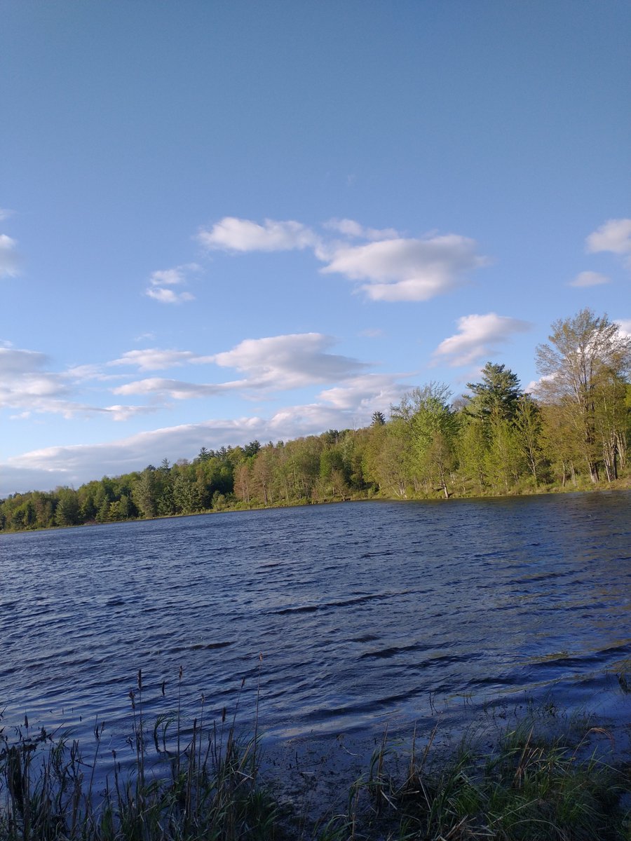 GenderButNot's tweet image. Went on a walk yesterday and took some pics of the nearby lake