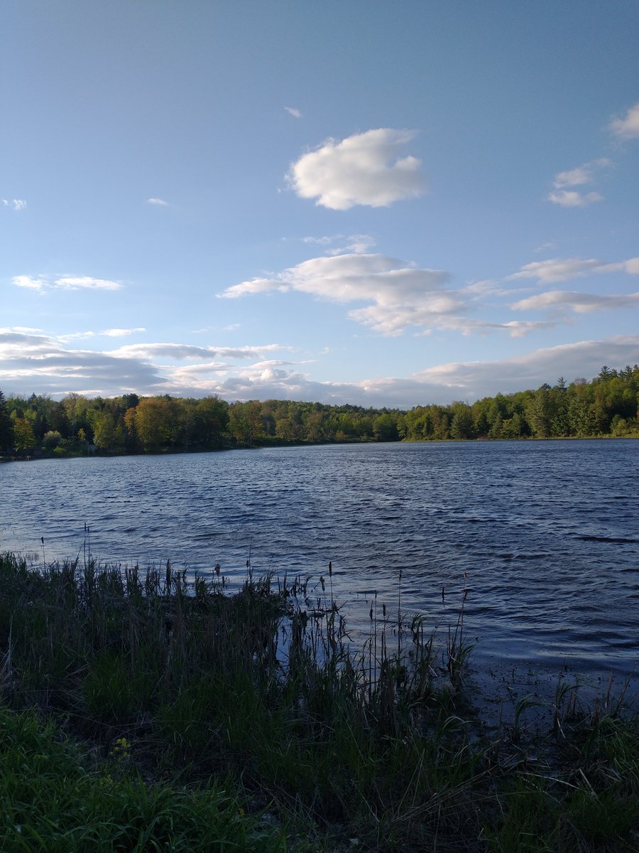 GenderButNot's tweet image. Went on a walk yesterday and took some pics of the nearby lake