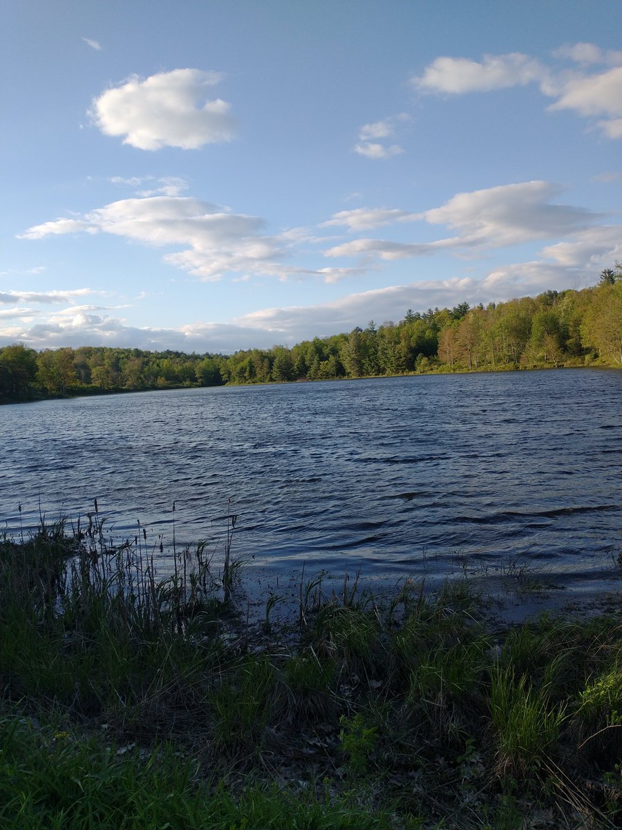 GenderButNot's tweet image. Went on a walk yesterday and took some pics of the nearby lake