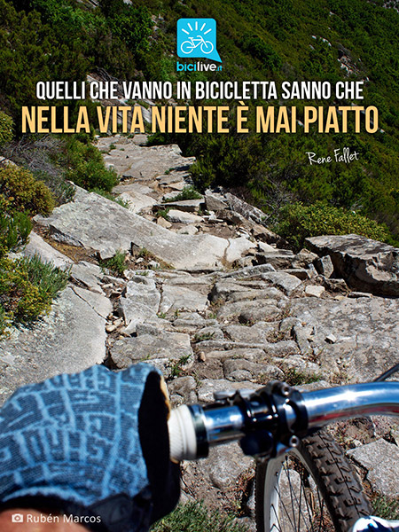 BiciLive.it (@BiciLive) / Twitter