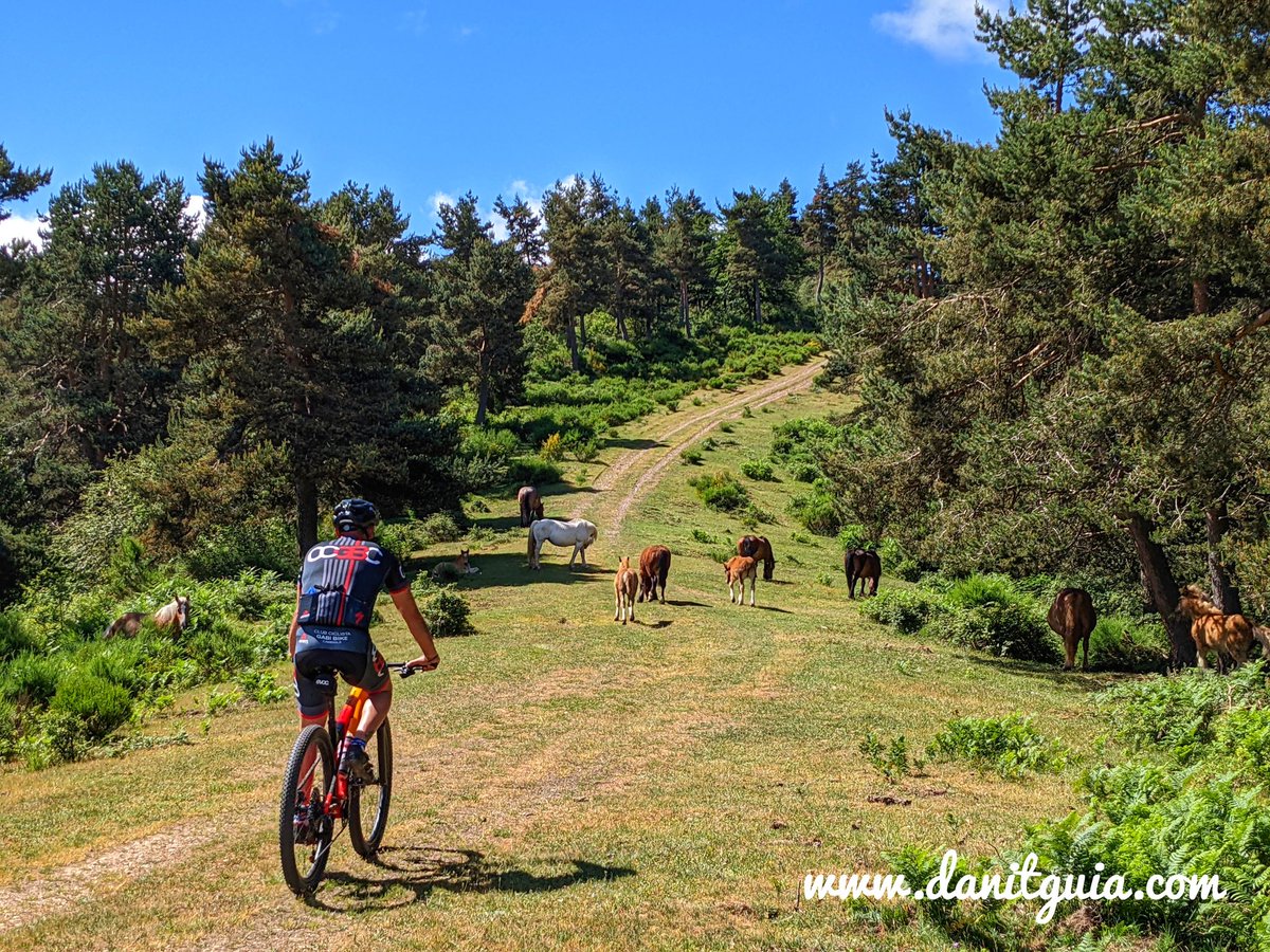 danitguia's tweet photo. En la rutas guiadas de #mtb🚲 de  este fin de semana recorrimos rincones como este.
https://t.co/HvxRs7Lvr8
La Rioja Turismo @info_ezcaray #sierradelademanda  #primavera #Ezcaray #montaña #descubrelarioja #vtt #turismoactivo #orbea #guide  #senderismo #btt #alquilerdebicicletas https://t.co/CWohaaiVPU