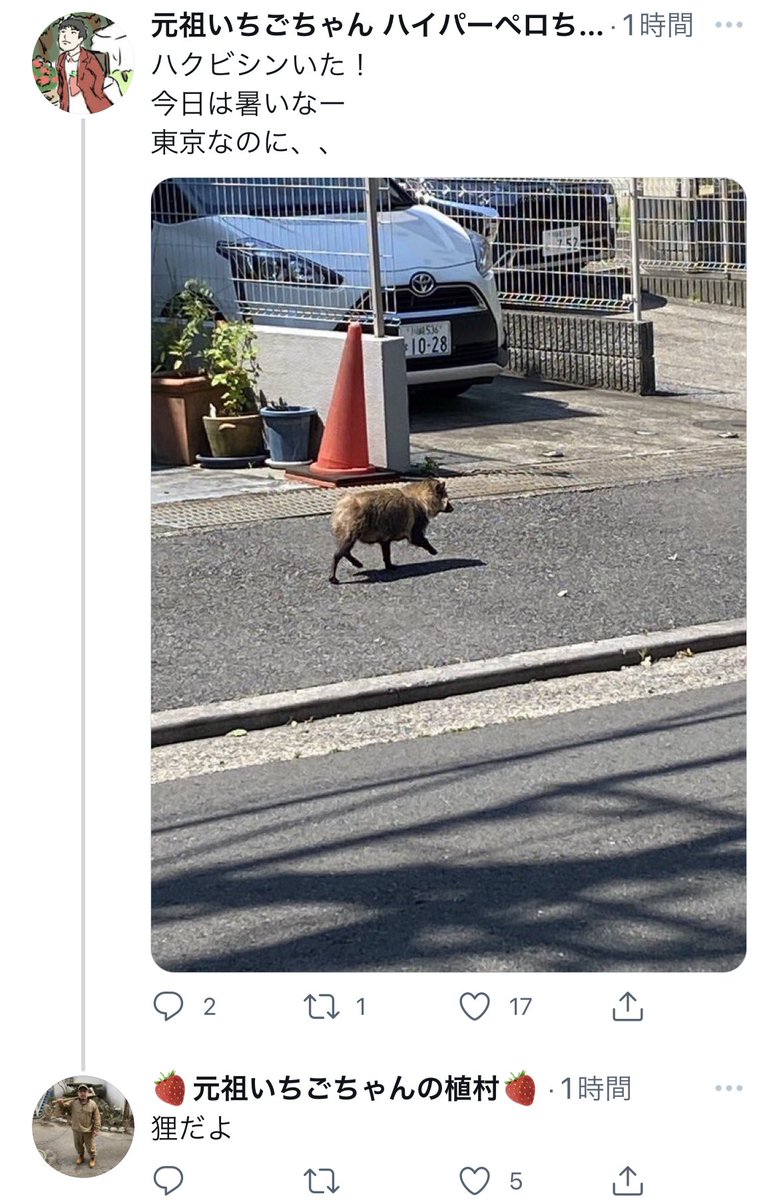 tsuchioka_t's tweet image. まさか、元祖いちごちゃんさんの会話が「のんのんびより」になるなんて