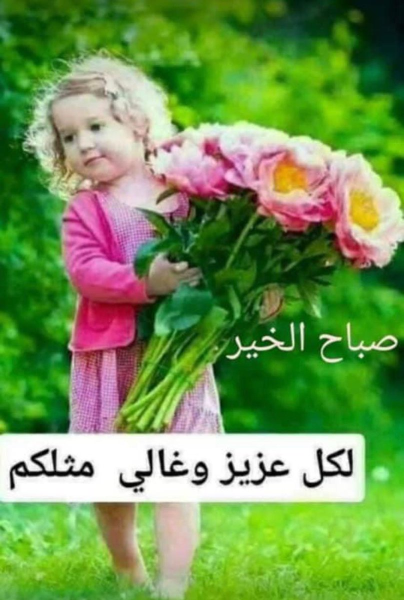 AludianaLua's tweet photo. صباح الخير https://t.co/gj2JhXezdf