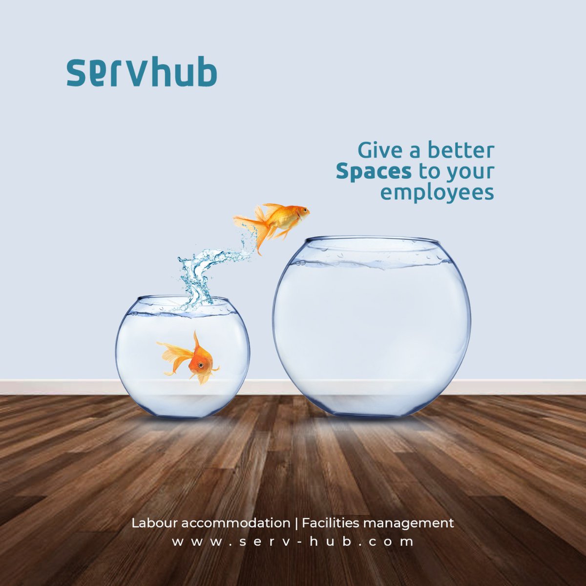 servhub's tweet photo. A blue-collar service provider in the Emirates of Dubai. At present working with 100+ corporates, serving more than 14,000 labourers through one or more of our services. Switch to Servhub 

https://t.co/1X6Df4OSNG
+971 (0)52 472 2635 #labouraccommodation  #transportation https://t.co/vNNHuvle20