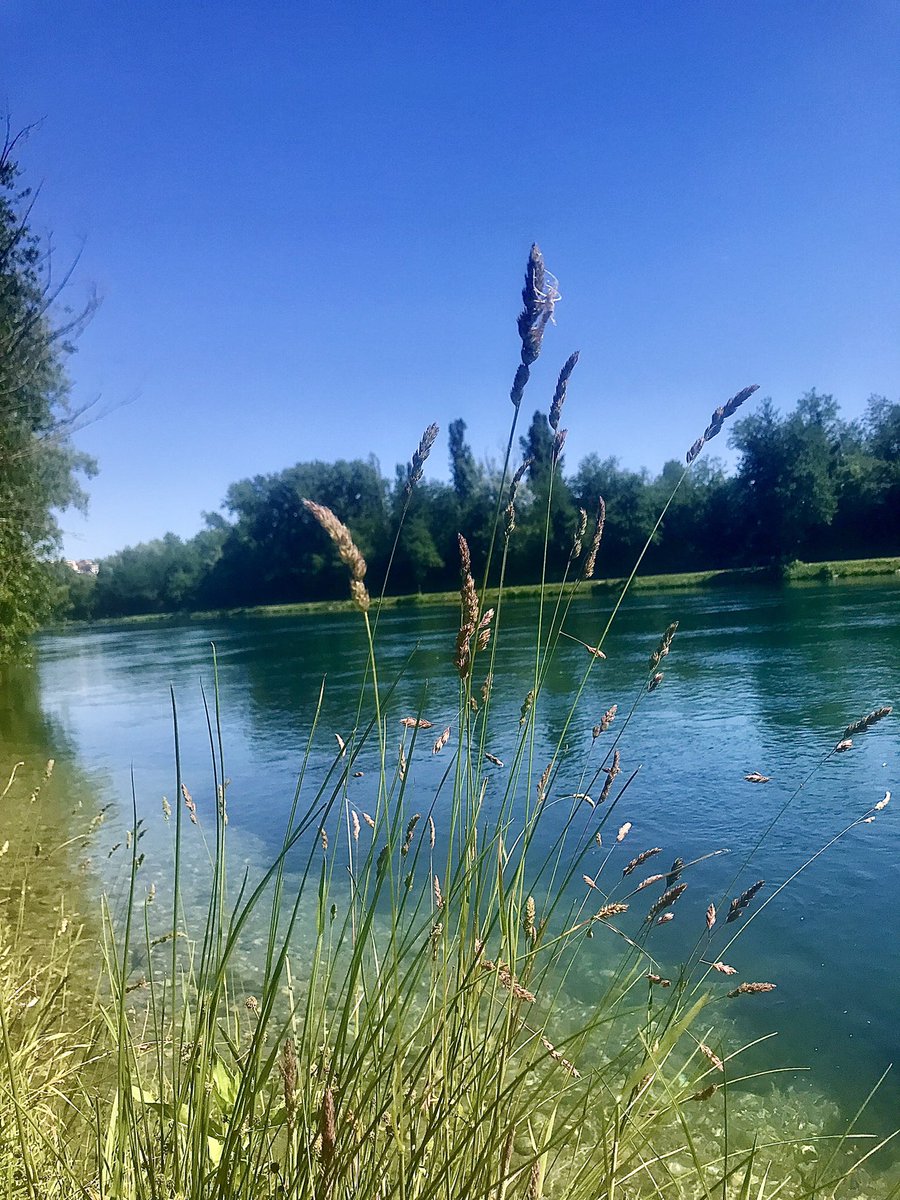 #ciSonoAlcuni momenti in cui cerchi il contatto con te stessa, riesci così ad ascoltarti e a vivere il momento con serenità.

buongiorno 📷💙🌾