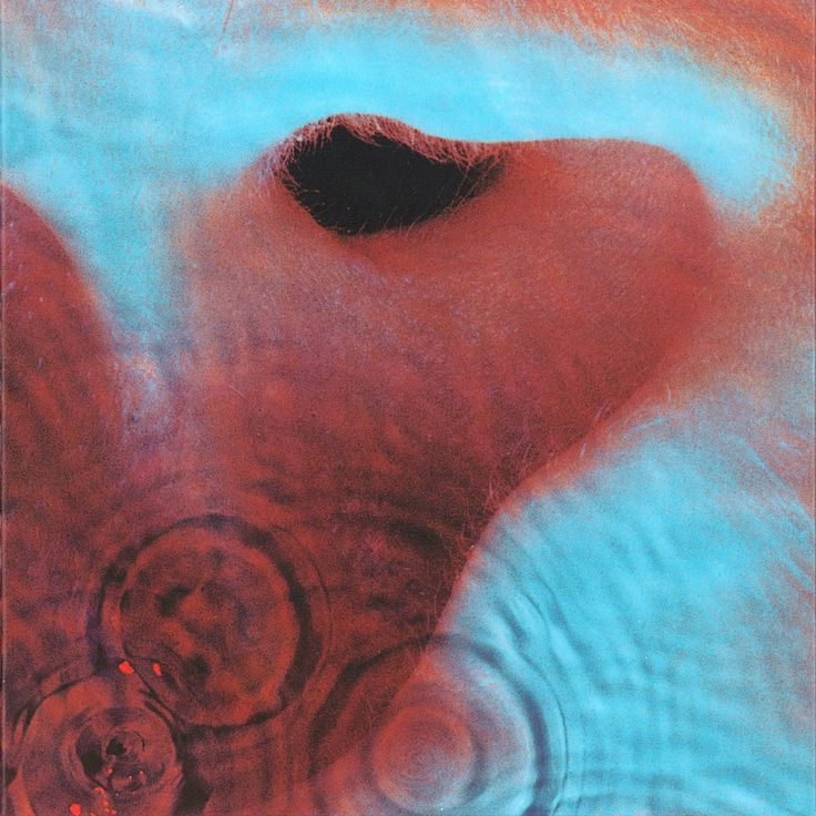 somagods's tweet photo. This market calls for listening to Pink Floyd Echoes on repeat https://t.co/UbCrknfUW6