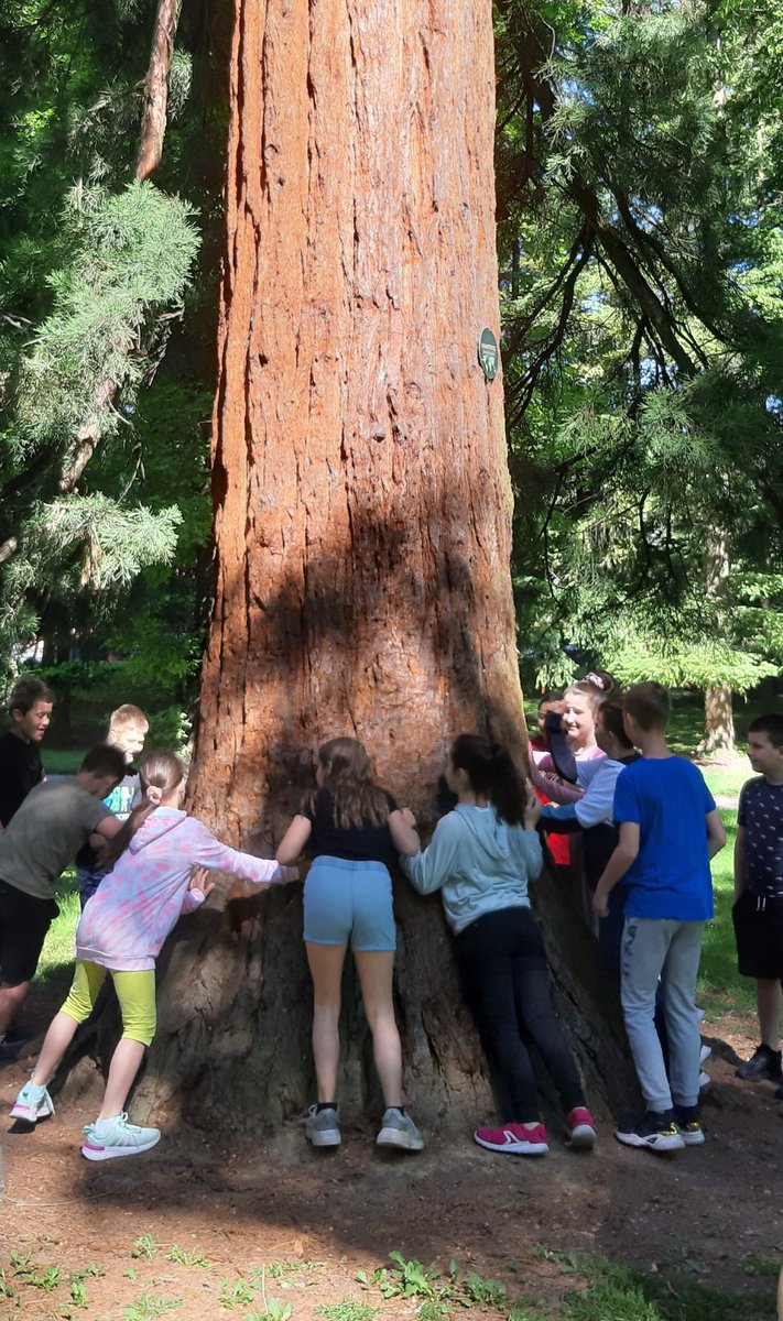 The Municipality of Maribor is raising awareness among schoolchildren and their teachers about native and non-native trees by providing guided tours during the months of May and June in the City Park, which is celebrating already 150 years. 

#interreg #alpinespace