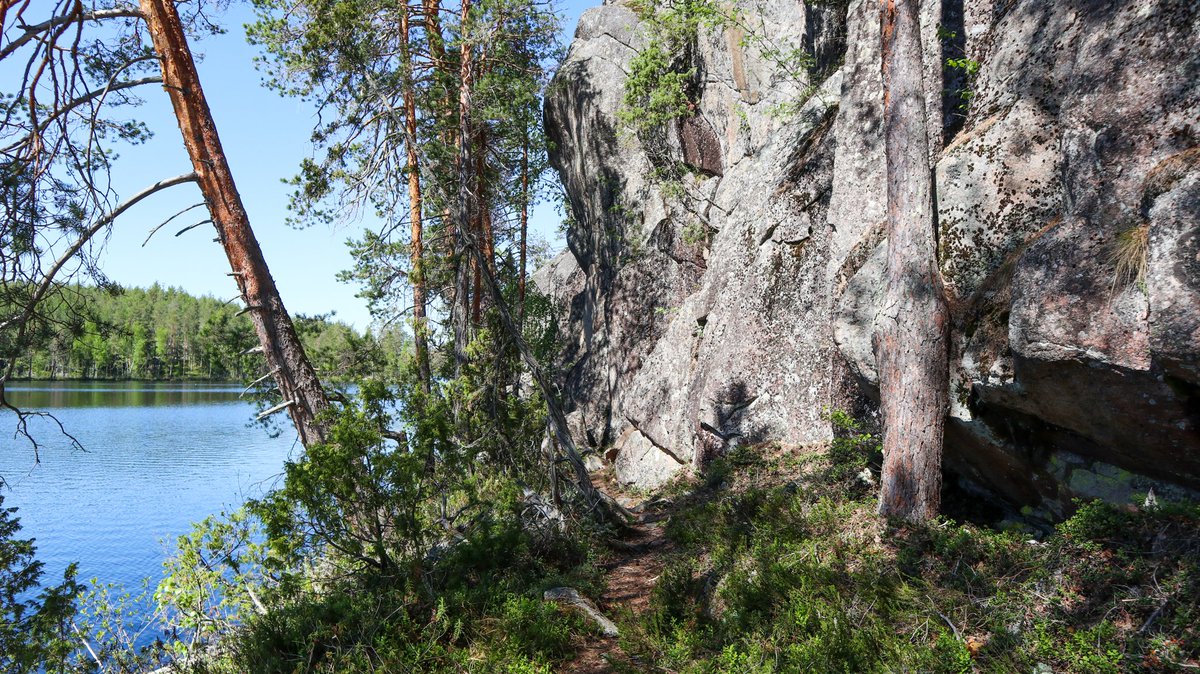 Saimaa UNESCO Global Geopark tweet media
