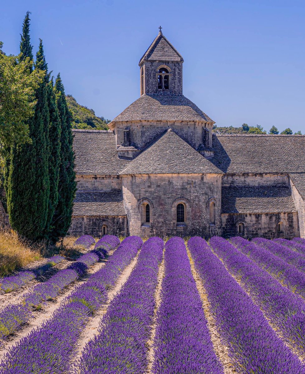 GGTHOM's tweet photo. Abbaye de Senanque https://t.co/2NLxxi9iRU