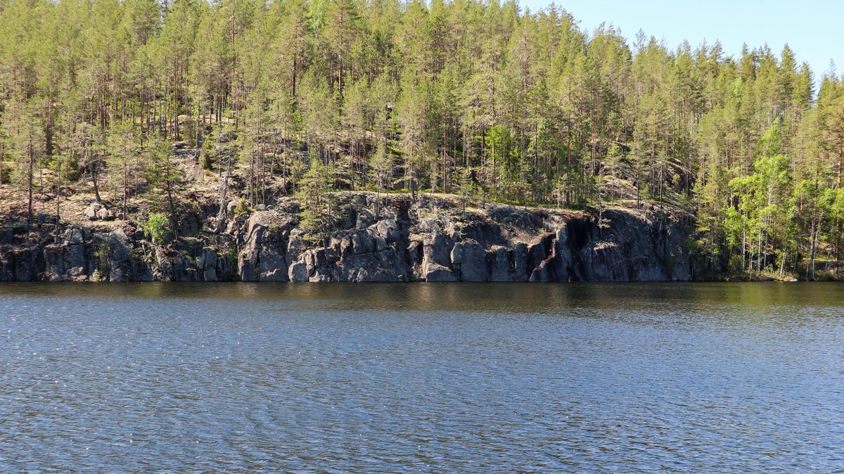 Juvan Sarkaslammen kalliomaastossa kulkeva reitti on vaikeakulkuinen. Matkalla tuli myös nähtyä kyykäärme, joten kannattaa varautua hyvin.

Lisätietoja Sarkaslammen reitistä 👉 saimaageopark.fi/kohteet/sarkas…

#saimaageopark #UNESCOGlobalGeopark