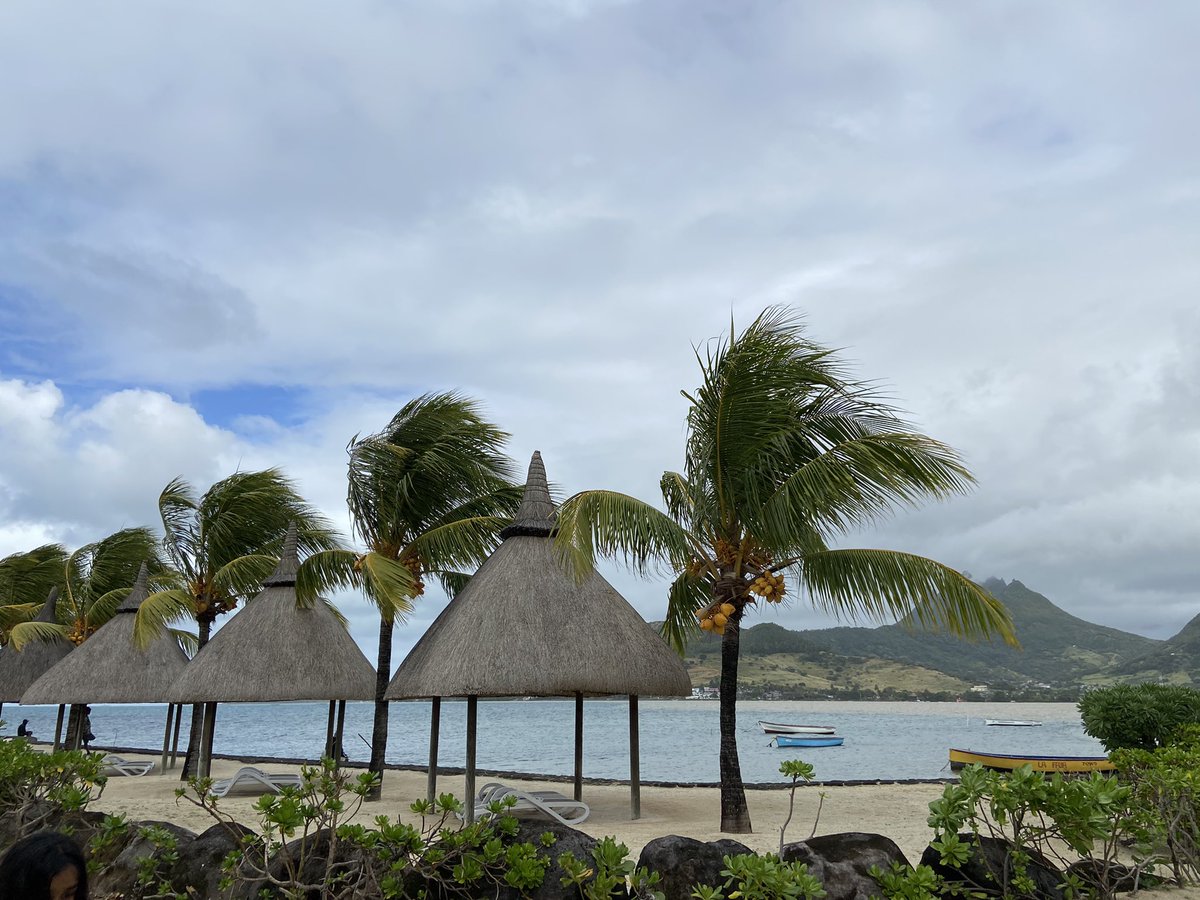 thoughtsnrights's tweet photo. #firsttimeinAfrica color of the ocean, as per my 9 yo, a muted periwinkle - maybe it will be turquoise like the Carribean up close, she says. It doesn’t need to be I say #meetmeinmauritius https://t.co/1NIQD1MnAa