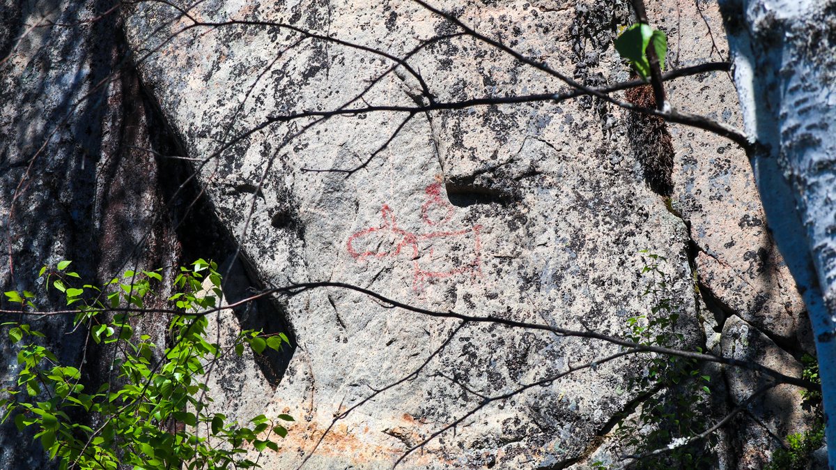Saimaa UNESCO Global Geopark tweet media