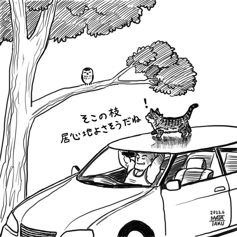猫のあるある

 #猫フク 