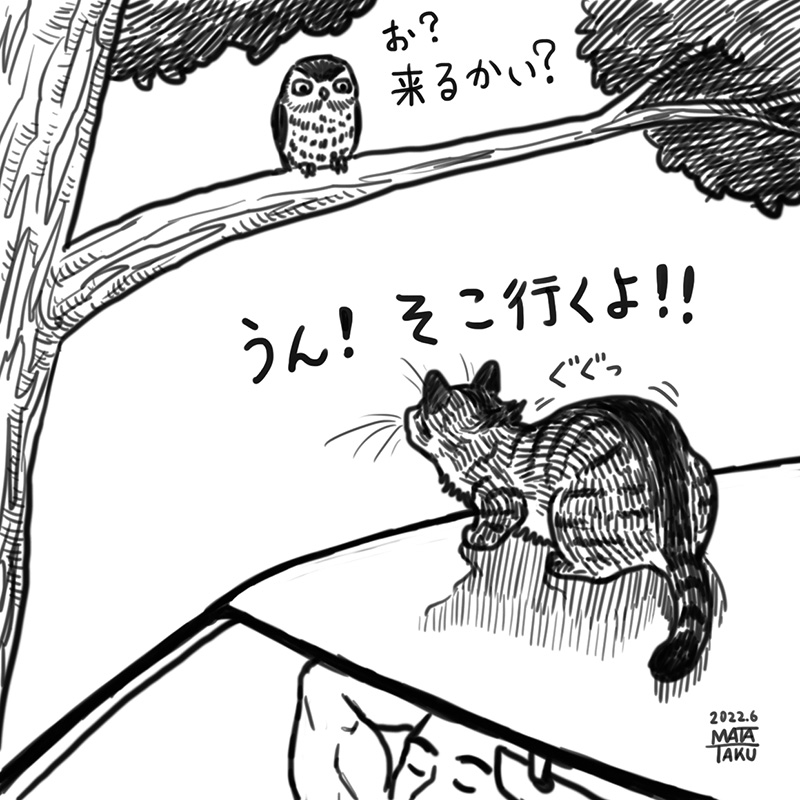 猫のあるある

 #猫フク 