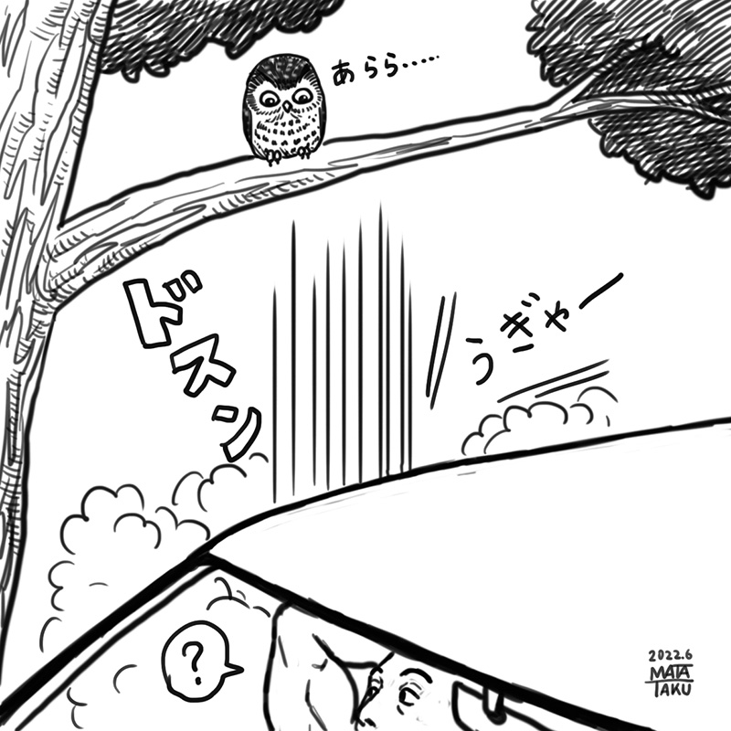 猫のあるある

 #猫フク 