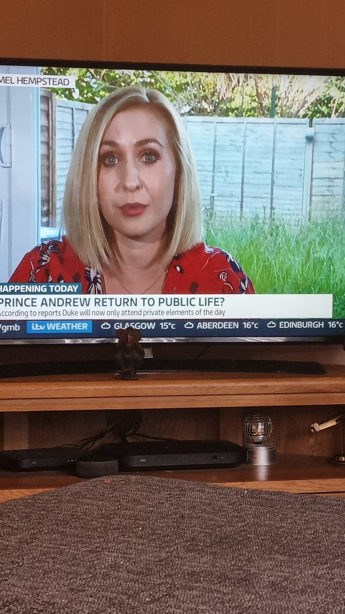 NickyArmo's tweet photo. She looks lovely but why didn't she cut the grass before appearing live in front of the nation on #GMB ?? https://t.co/QO6GFuC9Nz