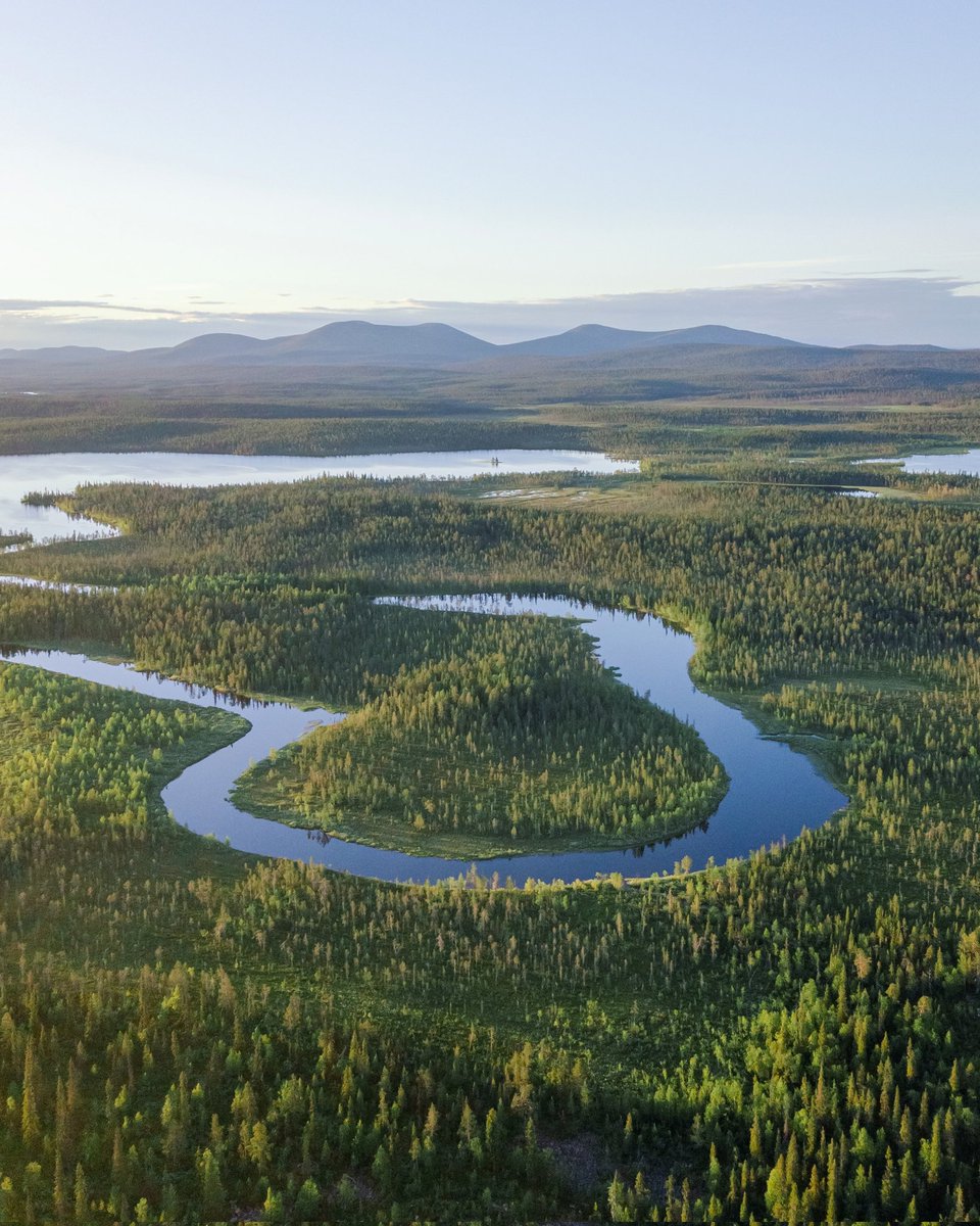 Finland is starting to look so good in green!

#finland #lapland #travel