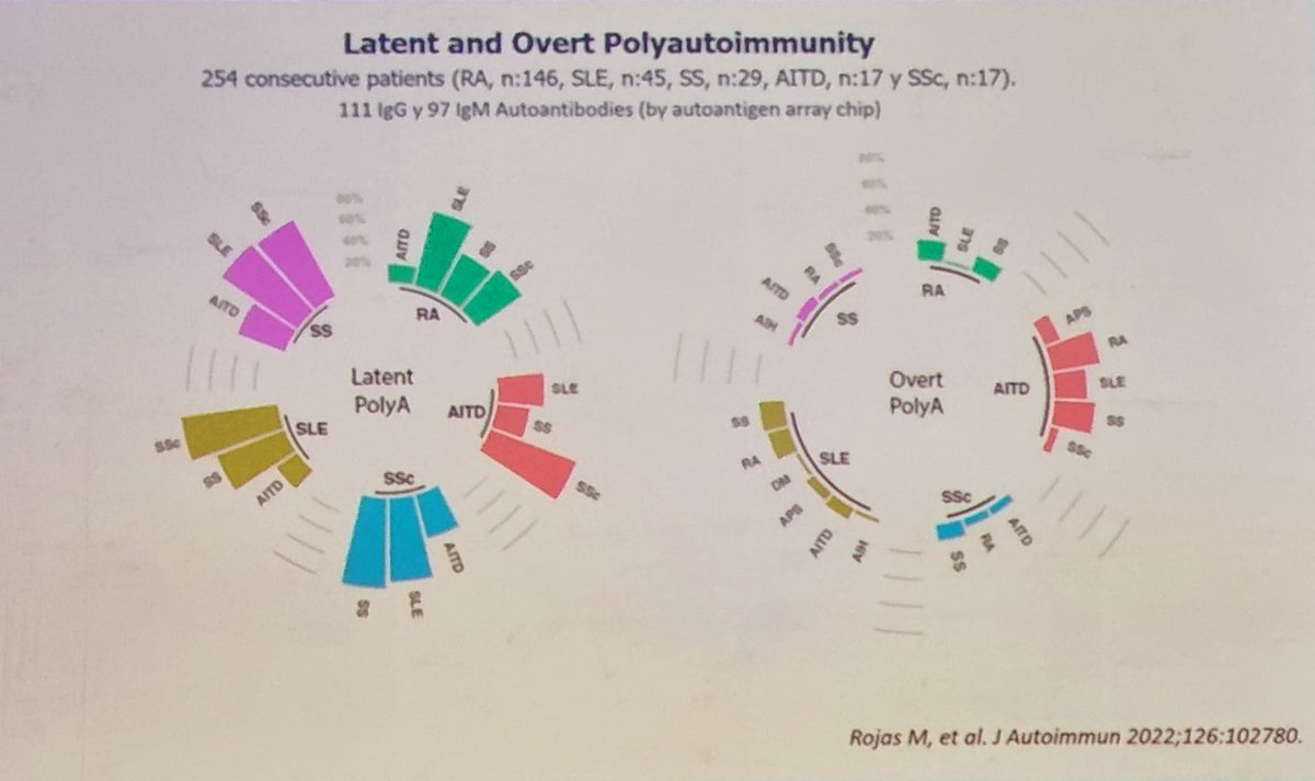 drALINAdima's tweet photo. the #autoimmune tautology (by J-M. Anaya)
overlap vs common origin
#autoimmunity vs polyautoimmunity
latent vs overt #Autoimmunity2022 - Day 4
#TogetherInAthens https://t.co/xHedjqEc2v