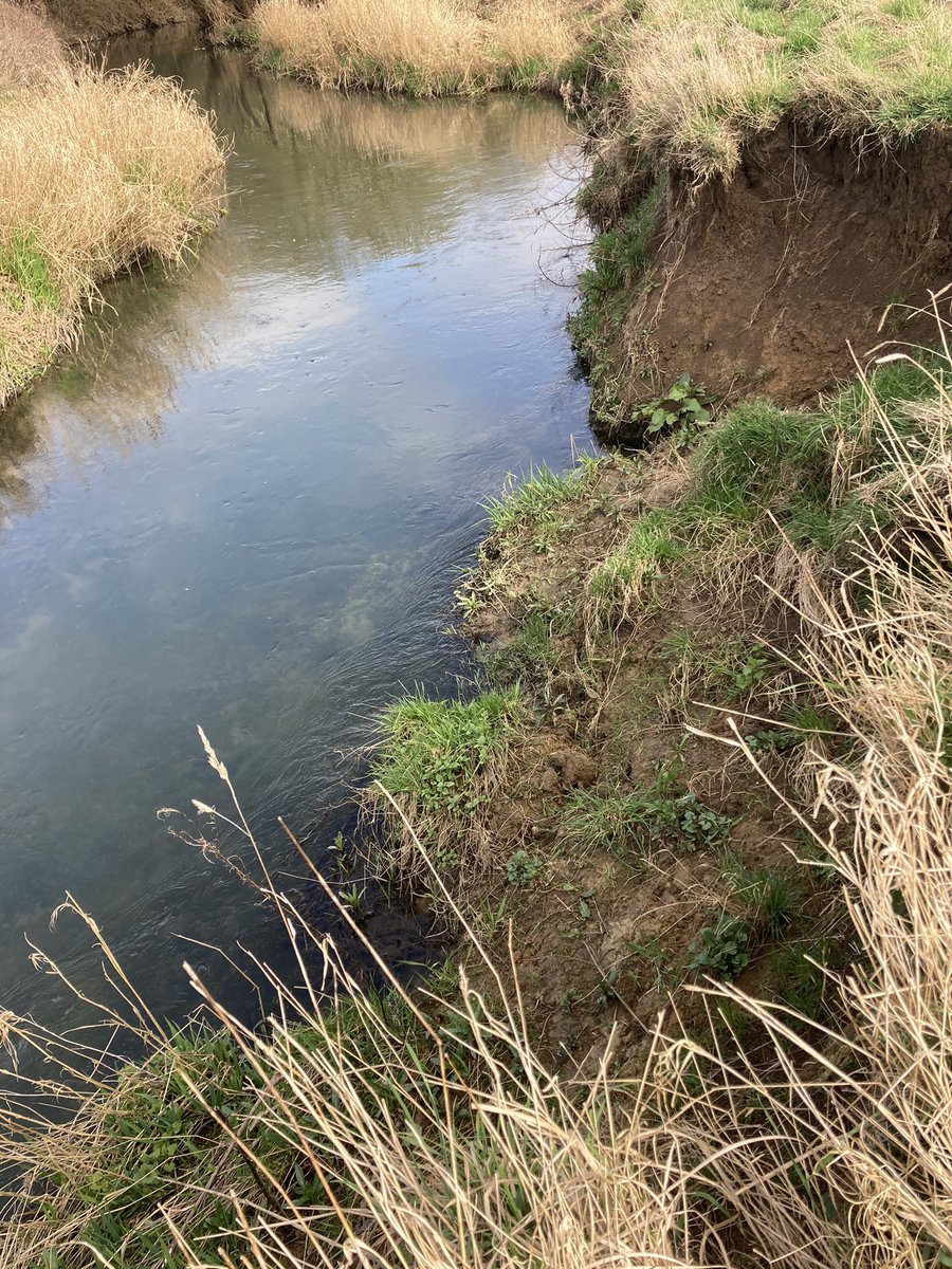 River keeper@GAAFFS tweet media