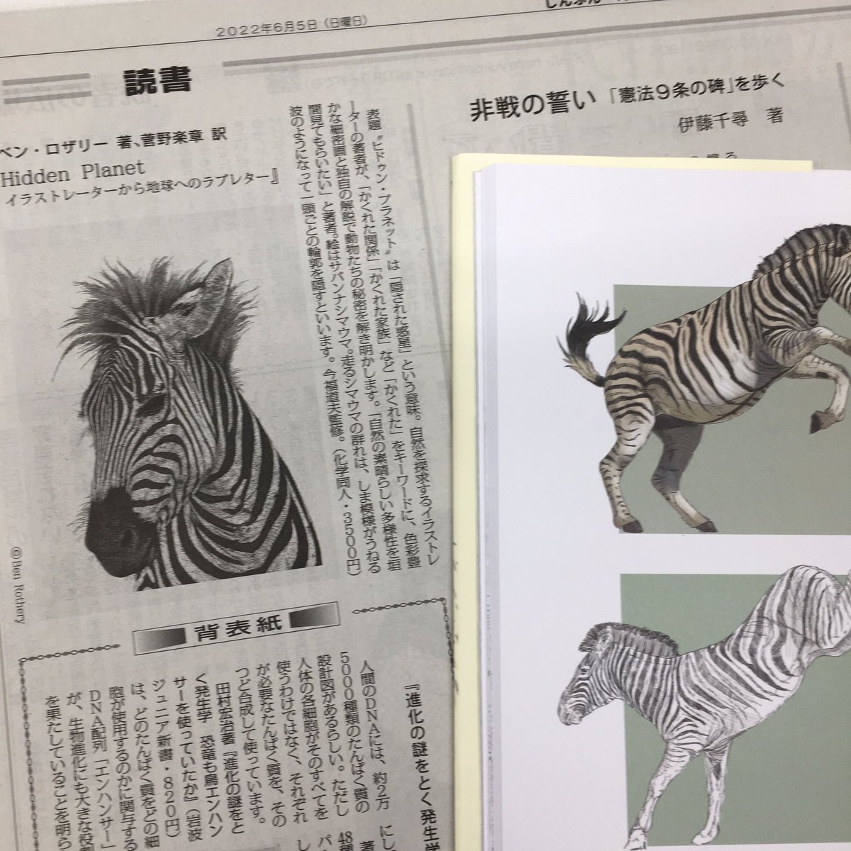KagakudojinEhon's tweet photo. 【掲載されました】
6月5日の「しんぶん赤旗」に『Hidden Planet』が掲載されました!🦓
「かくれた」をテーマに関係や能力、つながりなどを紹介しています!
#HiddenPlanet #化学同人 #かがくどうじん https://t.co/vMJdSYU8Dg