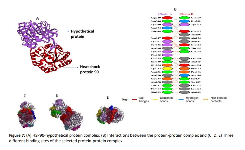 A well designed study on elucidating the roles of an #Hypothetical #Protein found in the #genome of #Pseudoalteromonas spp. 

Freely available at ⬇️
bit.ly/3xMrdO0

#TAGEMJOURNALS #trjfas #science #HypotheticalProtein #MolecularDocking #Biomarker #PseudoalteromonasSpp.