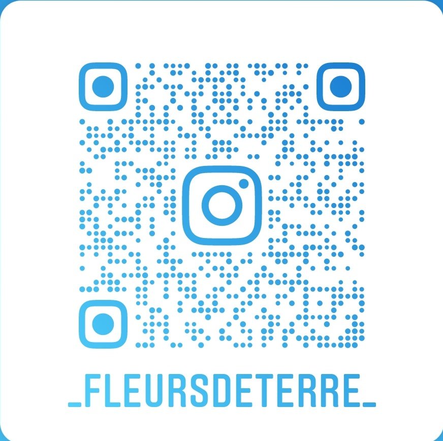 Gukughna's tweet photo. Hésitez pas à me suivre sur Instagram. Je partage mon quotidien de jardinier-maraicher. 🍅🌻🍉🌺🌼🐝🐞🧑🌾 #fleursdeterre #microferme #pertuis https://t.co/vRXsrWnpix
