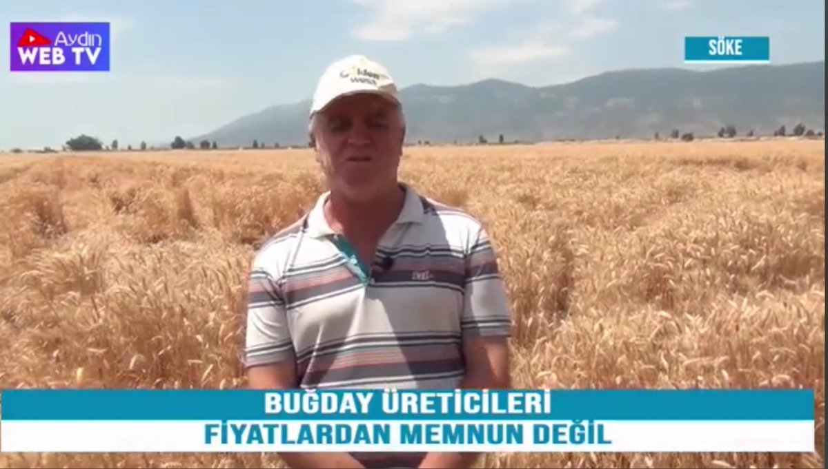 Buğday Üreticileri Fiyatlardan Memnun Değil 
#bugday #uretim #hasat #aydinwebtv #un 
instagram.com/tv/Ceu885OroQS…
