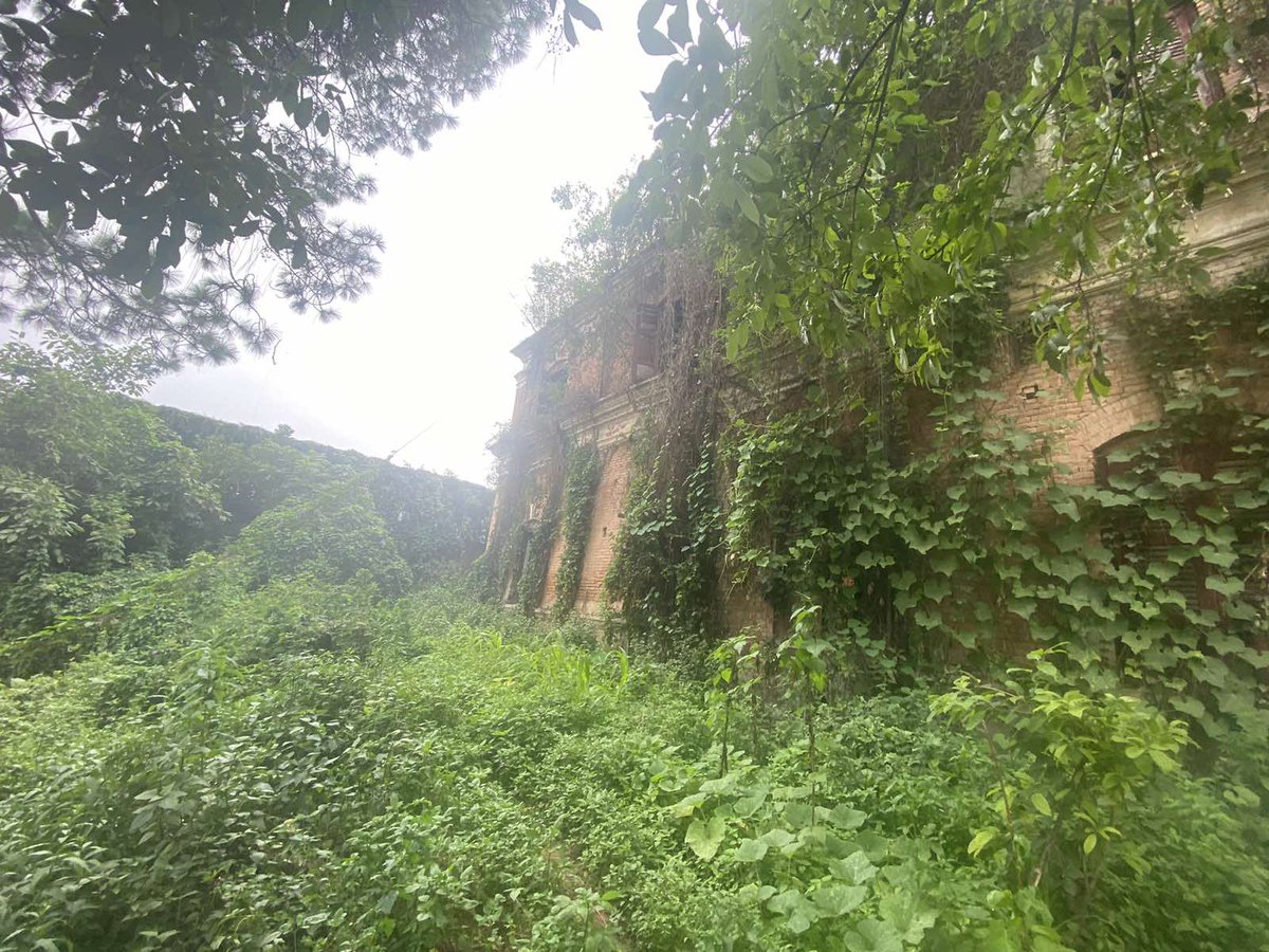 koirala2018's tweet photo. हामीले प्रकृतिको हातमा छोडेका कक्षाकोठाहरु!!
समय फेरियो तर त्रिचन्द्रको हालत फेरिएन, २०७२ को भूकम्पपछि पुनर्निर्माण प्राधिकरण कता गयो?शिक्षा मन्त्रालय कता गयो? 
हामी कक्षाकोठाको खोजीसँगै एउटा प्रश्नको पनि उत्तर खोजिरहेछौ!
त्रिचन्द्र कलेजको पुनर्निर्माण कहिले?
#SaveTrichandra https://t.co/HXbxgirmsK