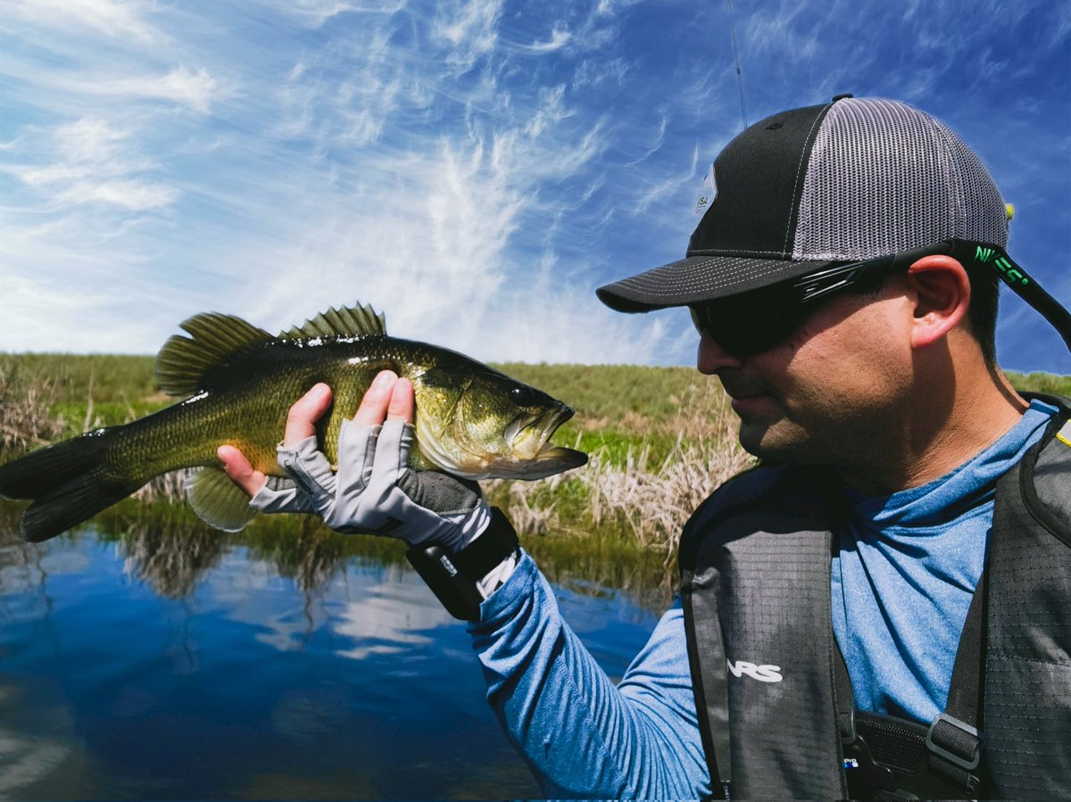 NicholasBeltr17's tweet photo. Look into my eyes ill be back to get you and your mother π
#fishusa #anglrbullseye #aftco #aftcofreshwater #nrsfishing #fishmonkeygloves #freshwaterfishing #everglades #kayakfishing #largemouthbass https://t.co/1vx3zDlUts