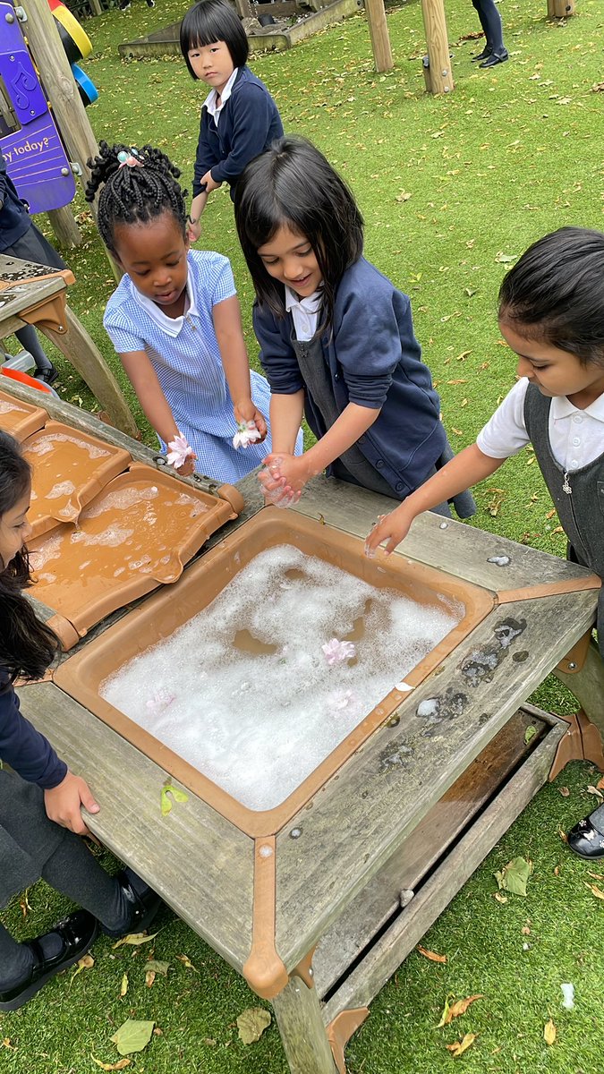StPaulsBolton's tweet image. Reception have decided to investigate whether the flowers float or sink in water. I wonder what we will find out. #eyfsscience #eyfsrocks