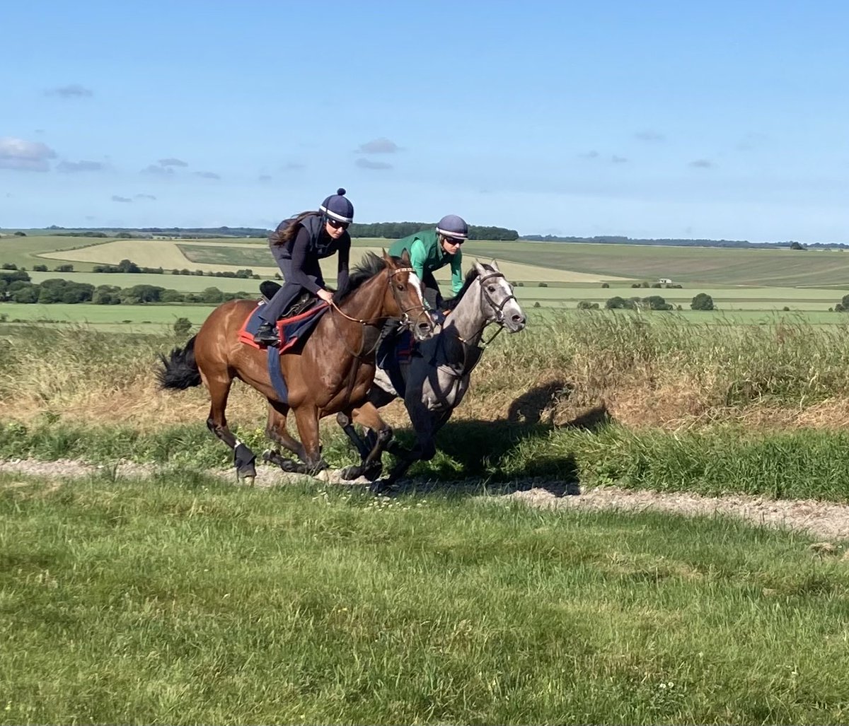 johnsonhoughton's tweet photo. The legend warming up for his annual day out at Royal Ascot. #AccidentalAgent #QueenAnne #teamWoodway https://t.co/gx9MFozXvY
