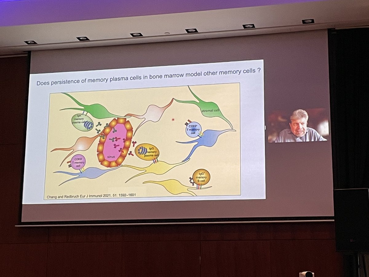 scandjimmunol's tweet photo. Andreas Radbruch @Radbruch_lab  kicked off @SSI_immunology yesterday evening. Great to be here to discuss science and how @scandjimmunol can help to develop Scandinavian immunology! https://t.co/k7K8FbFbS0